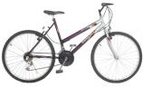 Bicicleta Winner Femina 2624 - Braciclo