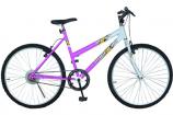 Bicicleta Winner Femina 2624 - Braciclo
