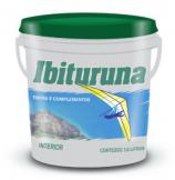 Ibituruna Selador Acrílico